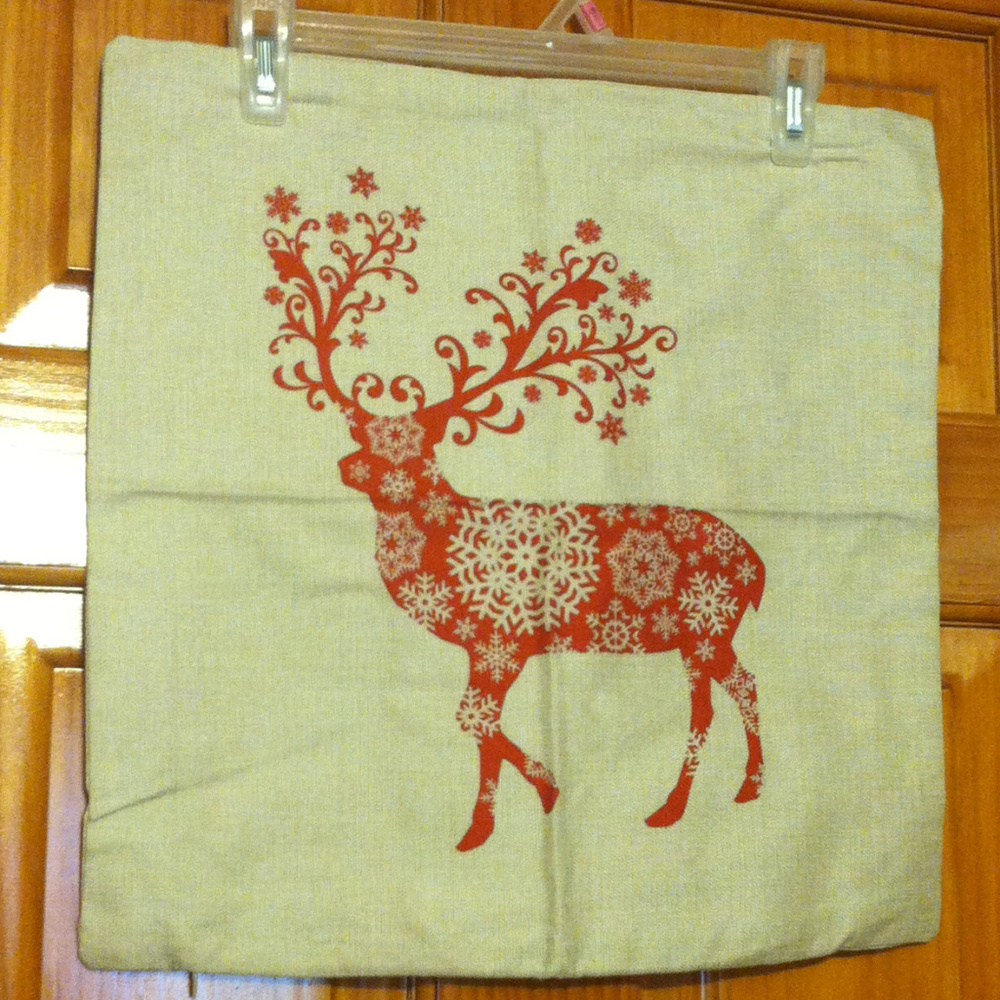 2 Thrown Pillow cover case